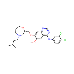 COc1cc2c(Nc3ccc(Cl)c(Cl)c3)ncnc2cc1OC[C@@H]1CN(CCC(C)C)CCCO1 ZINC000114821332