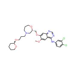 COc1cc2c(Nc3ccc(Cl)c(Cl)c3)ncnc2cc1OC[C@@H]1CN(CCCO[C@@H]2CCCCO2)CCCO1 ZINC000114821993