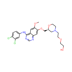 COc1cc2c(Nc3ccc(Cl)c(Cl)c3)ncnc2cc1OC[C@@H]1CN(CCOCCO)CCO1 ZINC000114822005