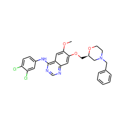 COc1cc2c(Nc3ccc(Cl)c(Cl)c3)ncnc2cc1OC[C@@H]1CN(Cc2ccccc2)CCO1 ZINC000114821837