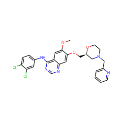 COc1cc2c(Nc3ccc(Cl)c(Cl)c3)ncnc2cc1OC[C@@H]1CN(Cc2ccccn2)CCO1 ZINC000114821056