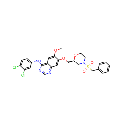 COc1cc2c(Nc3ccc(Cl)c(Cl)c3)ncnc2cc1OC[C@@H]1CN(S(=O)(=O)Cc2ccccc2)CCO1 ZINC000114821130