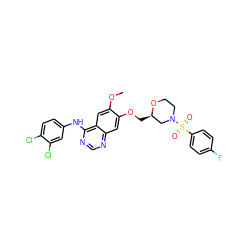 COc1cc2c(Nc3ccc(Cl)c(Cl)c3)ncnc2cc1OC[C@@H]1CN(S(=O)(=O)c2ccc(F)cc2)CCO1 ZINC000114821283