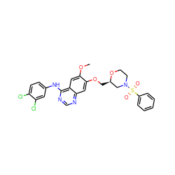 COc1cc2c(Nc3ccc(Cl)c(Cl)c3)ncnc2cc1OC[C@@H]1CN(S(=O)(=O)c2ccccc2)CCO1 ZINC000115599522