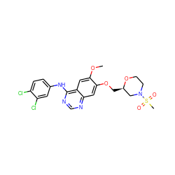 COc1cc2c(Nc3ccc(Cl)c(Cl)c3)ncnc2cc1OC[C@@H]1CN(S(C)(=O)=O)CCO1 ZINC000114821771