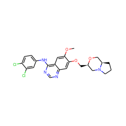 COc1cc2c(Nc3ccc(Cl)c(Cl)c3)ncnc2cc1OC[C@@H]1CN2CCC[C@@H]2CO1 ZINC000088367978