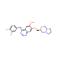 COc1cc2c(Nc3ccc(Cl)c(Cl)c3)ncnc2cc1OC[C@@H]1CN2CCC[C@H]2CO1 ZINC000114820621