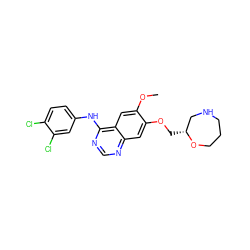 COc1cc2c(Nc3ccc(Cl)c(Cl)c3)ncnc2cc1OC[C@@H]1CNCCCO1 ZINC000114821736