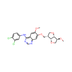 COc1cc2c(Nc3ccc(Cl)c(Cl)c3)ncnc2cc1OC[C@@H]1CO[C@@H]2[C@@H](OC)CO[C@H]12 ZINC000115599552