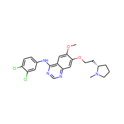 COc1cc2c(Nc3ccc(Cl)c(Cl)c3)ncnc2cc1OCC[C@@H]1CCCN1C ZINC000114821541