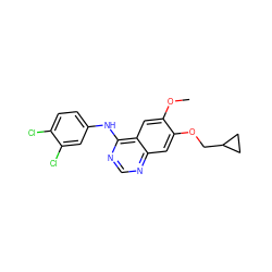 COc1cc2c(Nc3ccc(Cl)c(Cl)c3)ncnc2cc1OCC1CC1 ZINC000114822532