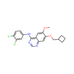 COc1cc2c(Nc3ccc(Cl)c(Cl)c3)ncnc2cc1OCC1CCC1 ZINC000114821302