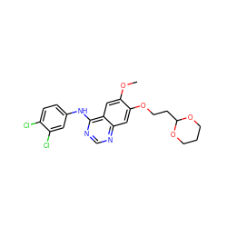 COc1cc2c(Nc3ccc(Cl)c(Cl)c3)ncnc2cc1OCCC1OCCCO1 ZINC000114822367