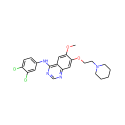 COc1cc2c(Nc3ccc(Cl)c(Cl)c3)ncnc2cc1OCCN1CCCCC1 ZINC000114820624