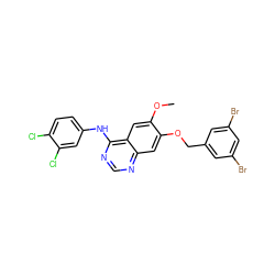 COc1cc2c(Nc3ccc(Cl)c(Cl)c3)ncnc2cc1OCc1cc(Br)cc(Br)c1 ZINC000114820783