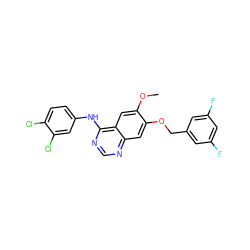 COc1cc2c(Nc3ccc(Cl)c(Cl)c3)ncnc2cc1OCc1cc(F)cc(F)c1 ZINC001772654471