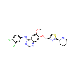 COc1cc2c(Nc3ccc(Cl)c(Cl)c3)ncnc2cc1OCc1csc([C@@H]2CCCCN2)n1 ZINC000114822619