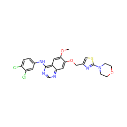 COc1cc2c(Nc3ccc(Cl)c(Cl)c3)ncnc2cc1OCc1csc(N2CCOCC2)n1 ZINC000114825162