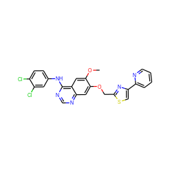 COc1cc2c(Nc3ccc(Cl)c(Cl)c3)ncnc2cc1OCc1nc(-c2ccccn2)cs1 ZINC000114821658