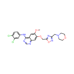 COc1cc2c(Nc3ccc(Cl)c(Cl)c3)ncnc2cc1OCc1nc(CN2CCOCC2)no1 ZINC000114820954