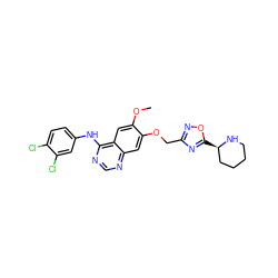 COc1cc2c(Nc3ccc(Cl)c(Cl)c3)ncnc2cc1OCc1noc([C@@H]2CCCCN2)n1 ZINC000114821928