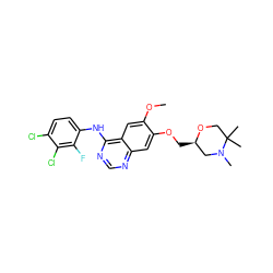 COc1cc2c(Nc3ccc(Cl)c(Cl)c3F)ncnc2cc1OC[C@@H]1CN(C)C(C)(C)CO1 ZINC000114821642