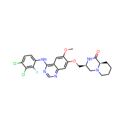 COc1cc2c(Nc3ccc(Cl)c(Cl)c3F)ncnc2cc1OC[C@@H]1CN2CCCC[C@@H]2C(=O)N1 ZINC000114820640