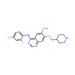 COc1cc2c(Nc3ccc(Cl)cc3F)ncnc2cc1OCC1CCNCC1 ZINC000013472793