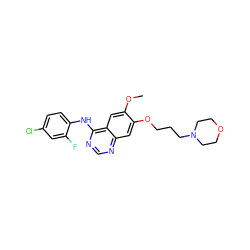 COc1cc2c(Nc3ccc(Cl)cc3F)ncnc2cc1OCCCN1CCOCC1 ZINC000028758891