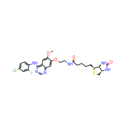 COc1cc2c(Nc3ccc(Cl)cc3F)ncnc2cc1OCCNC(=O)CCCC[C@@H]1SC[C@@H]2NC(=O)N[C@H]12 ZINC000028565272