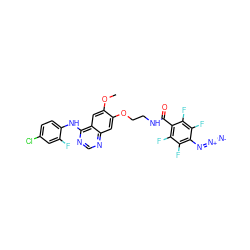 COc1cc2c(Nc3ccc(Cl)cc3F)ncnc2cc1OCCNC(=O)c1c(F)c(F)c(N=[N+]=[N-])c(F)c1F ZINC000028565065