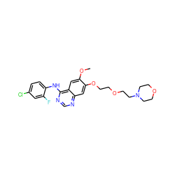 COc1cc2c(Nc3ccc(Cl)cc3F)ncnc2cc1OCCOCCN1CCOCC1 ZINC000013803327