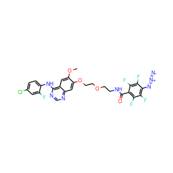 COc1cc2c(Nc3ccc(Cl)cc3F)ncnc2cc1OCCOCCNC(=O)c1c(F)c(F)c(N=[N+]=[N-])c(F)c1F ZINC000028565107