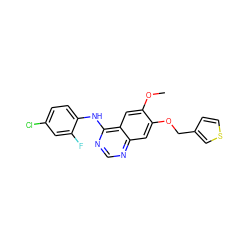 COc1cc2c(Nc3ccc(Cl)cc3F)ncnc2cc1OCc1ccsc1 ZINC000001486986