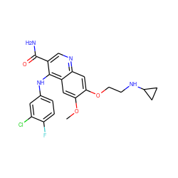 COc1cc2c(Nc3ccc(F)c(Cl)c3)c(C(N)=O)cnc2cc1OCCNC1CC1 ZINC000040936739