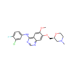 COc1cc2c(Nc3ccc(F)c(Cl)c3)ncnc2cc1OC[C@@H]1CN(C)CCO1 ZINC000114821346