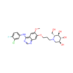 COc1cc2c(Nc3ccc(F)c(Cl)c3)ncnc2cc1OCCCN1C[C@H](O)[C@@H](O)[C@H](O)[C@H]1CO ZINC001772570909