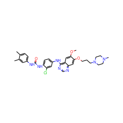 COc1cc2c(Nc3ccc(NC(=O)Nc4ccc(C)c(C)c4)c(Cl)c3)ncnc2cc1OCCCN1CCN(C)CC1 ZINC001772639166