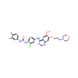 COc1cc2c(Nc3ccc(NC(=O)Nc4ccc(C)c(C)c4)c(Cl)c3)ncnc2cc1OCCCN1CCOCC1 ZINC001772649661