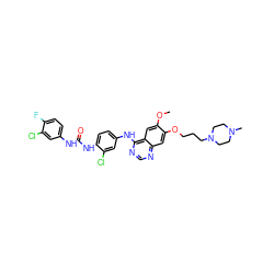 COc1cc2c(Nc3ccc(NC(=O)Nc4ccc(F)c(Cl)c4)c(Cl)c3)ncnc2cc1OCCCN1CCN(C)CC1 ZINC001772656909