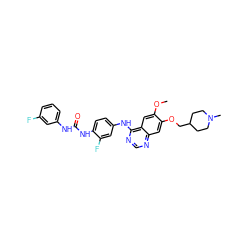 COc1cc2c(Nc3ccc(NC(=O)Nc4cccc(F)c4)c(F)c3)ncnc2cc1OCC1CCN(C)CC1 ZINC000073222500