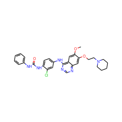 COc1cc2c(Nc3ccc(NC(=O)Nc4ccccc4)c(Cl)c3)ncnc2cc1OCCN1CCCCC1 ZINC001772629522