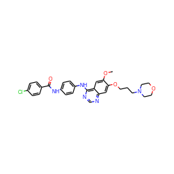 COc1cc2c(Nc3ccc(NC(=O)c4ccc(Cl)cc4)cc3)ncnc2cc1OCCCN1CCOCC1 ZINC000203687473