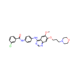 COc1cc2c(Nc3ccc(NC(=O)c4cccc(Cl)c4)cc3)ncnc2cc1OCCCN1CCOCC1 ZINC000203685651