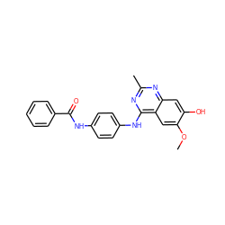 COc1cc2c(Nc3ccc(NC(=O)c4ccccc4)cc3)nc(C)nc2cc1O ZINC000299832292