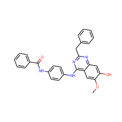 COc1cc2c(Nc3ccc(NC(=O)c4ccccc4)cc3)nc(Cc3ccccc3)nc2cc1O ZINC000263620770