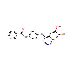 COc1cc2c(Nc3ccc(NC(=O)c4ccccc4)cc3)ncnc2cc1O ZINC000095921313