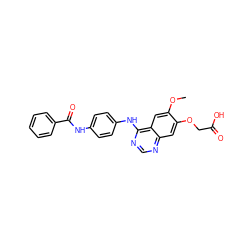 COc1cc2c(Nc3ccc(NC(=O)c4ccccc4)cc3)ncnc2cc1OCC(=O)O ZINC000212413010