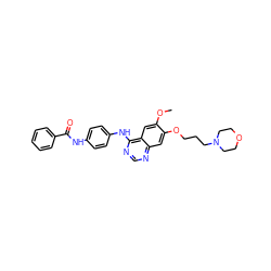 COc1cc2c(Nc3ccc(NC(=O)c4ccccc4)cc3)ncnc2cc1OCCCN1CCOCC1 ZINC000022067501