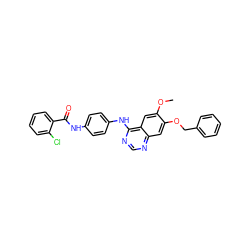 COc1cc2c(Nc3ccc(NC(=O)c4ccccc4Cl)cc3)ncnc2cc1OCc1ccccc1 ZINC000653703176